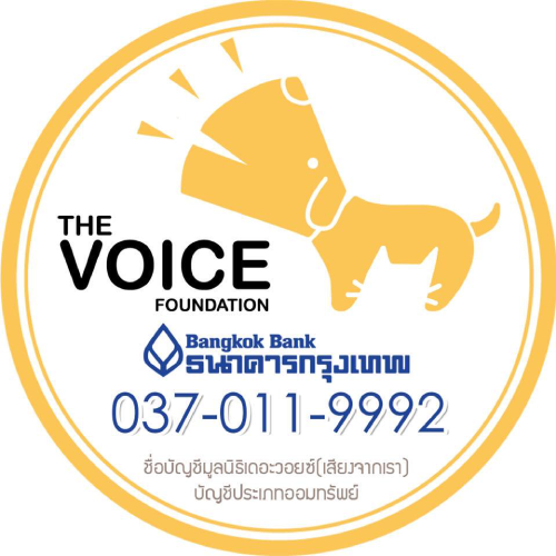 logo - the voice foundation