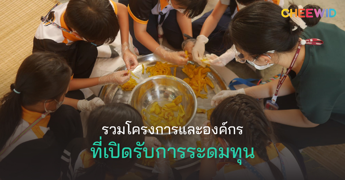 รวมโครงการและองค์กรที่เปิดรับการระดมทุน 