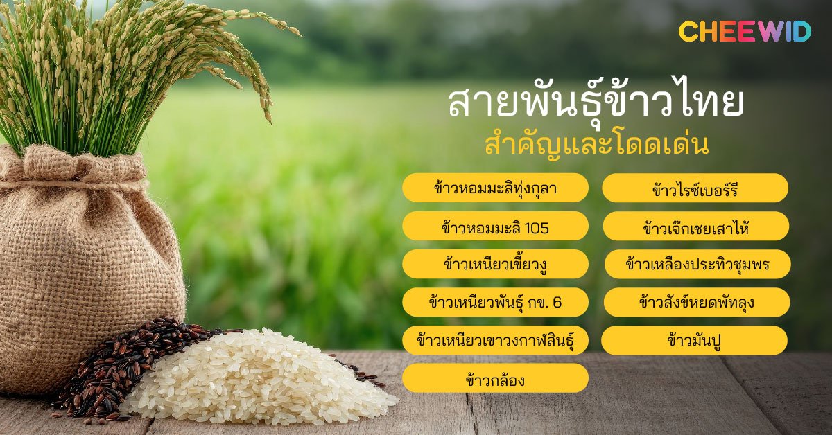 สายพันธุ์ข้าวไทยและสำคัญและโดดเด่น