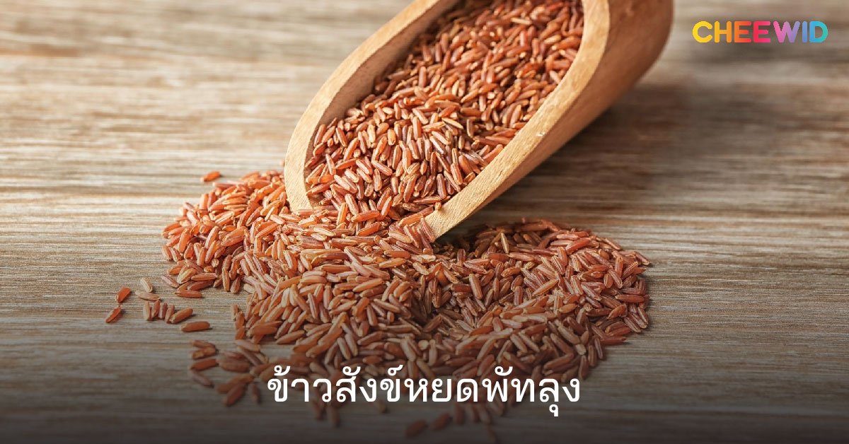ข้าวสังข์หยดพัทลุง
