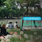 ความสำคัญของพื้นที่สีเขียวในเมือง สมดุลระหว่างธรรมชาติและชีวิต
