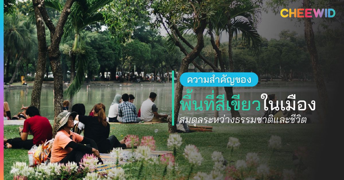 ความสำคัญของพื้นที่สีเขียวในเมือง สมดุลระหว่างธรรมชาติและชีวิต