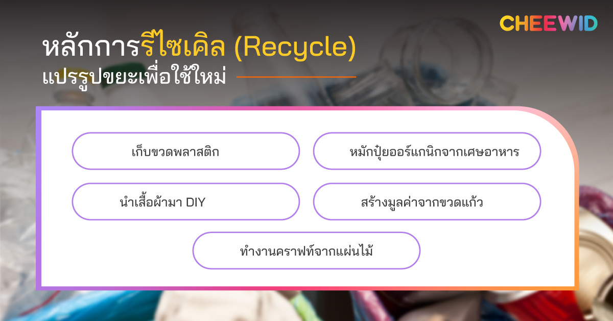 หลักการรีไซเคิล (Recycle) แปรรูปขยะเพื่อใช้ใหม่