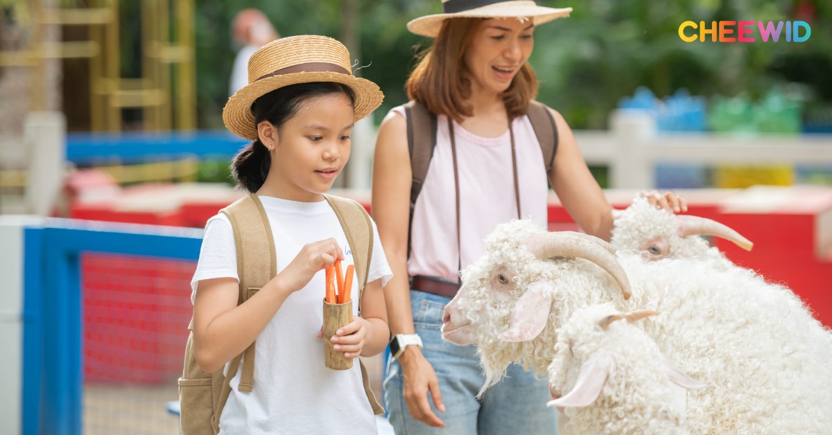 เรียนรู้เกี่ยวกับสัตว์และธรรมชาติที่สวนสัตว์