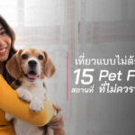 เที่ยวแบบไม่ต้องห่วงน้อง! 15 สถานที่ Pet Friendly ที่ไม่ควรพลาด