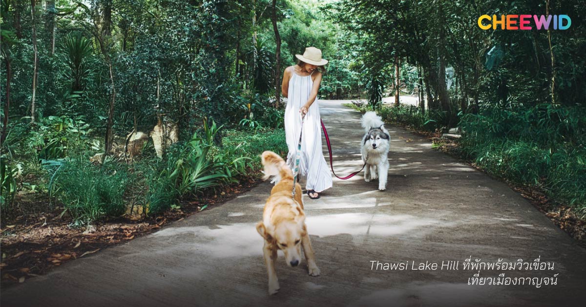 Thawsi Lake Hill ที่พักพร้อมวิวเขื่อน เที่ยวเมืองกาญจน์