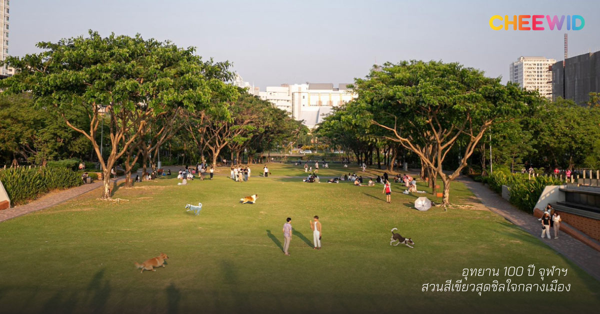 อุทยาน 100 ปี จุฬาฯ สวนสีเขียวสุดชิลใจกลางเมือง
