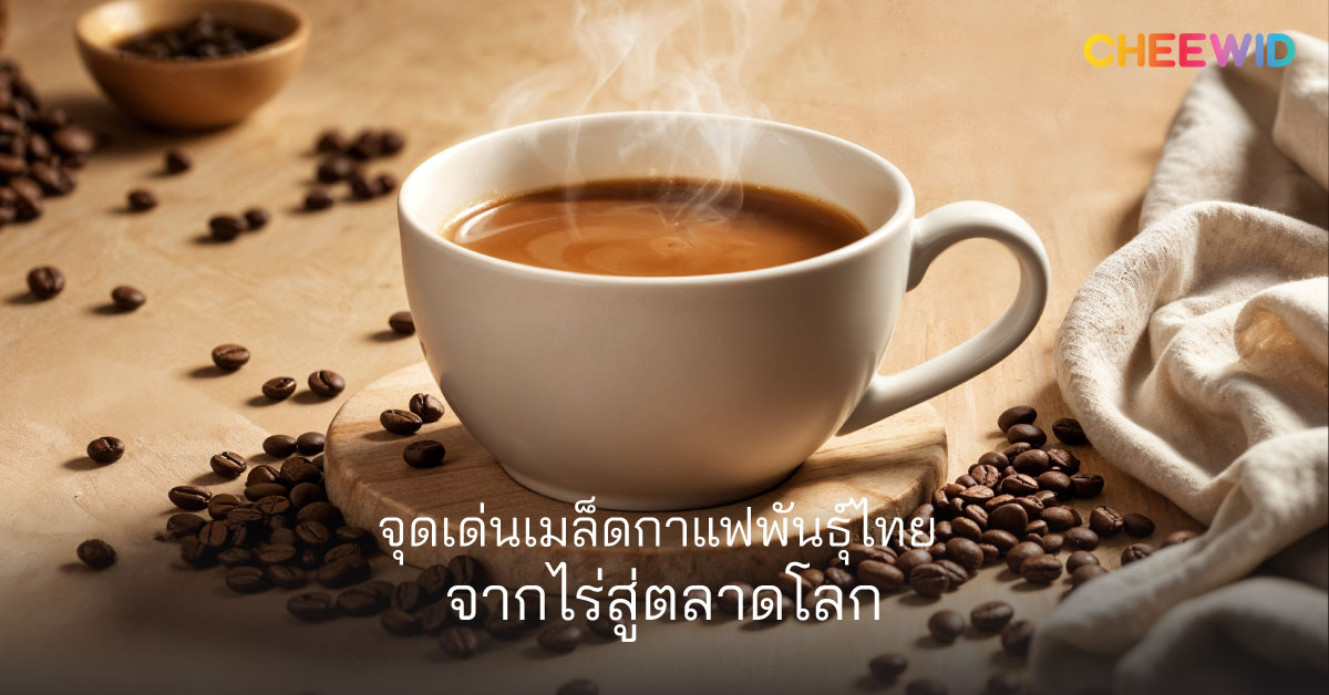 จุดเด่นเมล็ดกาแฟพันธุ์ไทย จากไร่สู่ตลาดโลก