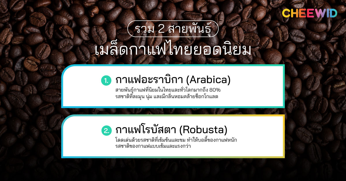 รวม 2 สายพันธุ์เมล็ดกาแฟไทยยอดนิยม