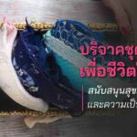 บริจาคชุดชั้นในเพื่อชีวิตใหม่ สนับสนุนสุขภาพและความเป็นอยู่ที่ดี