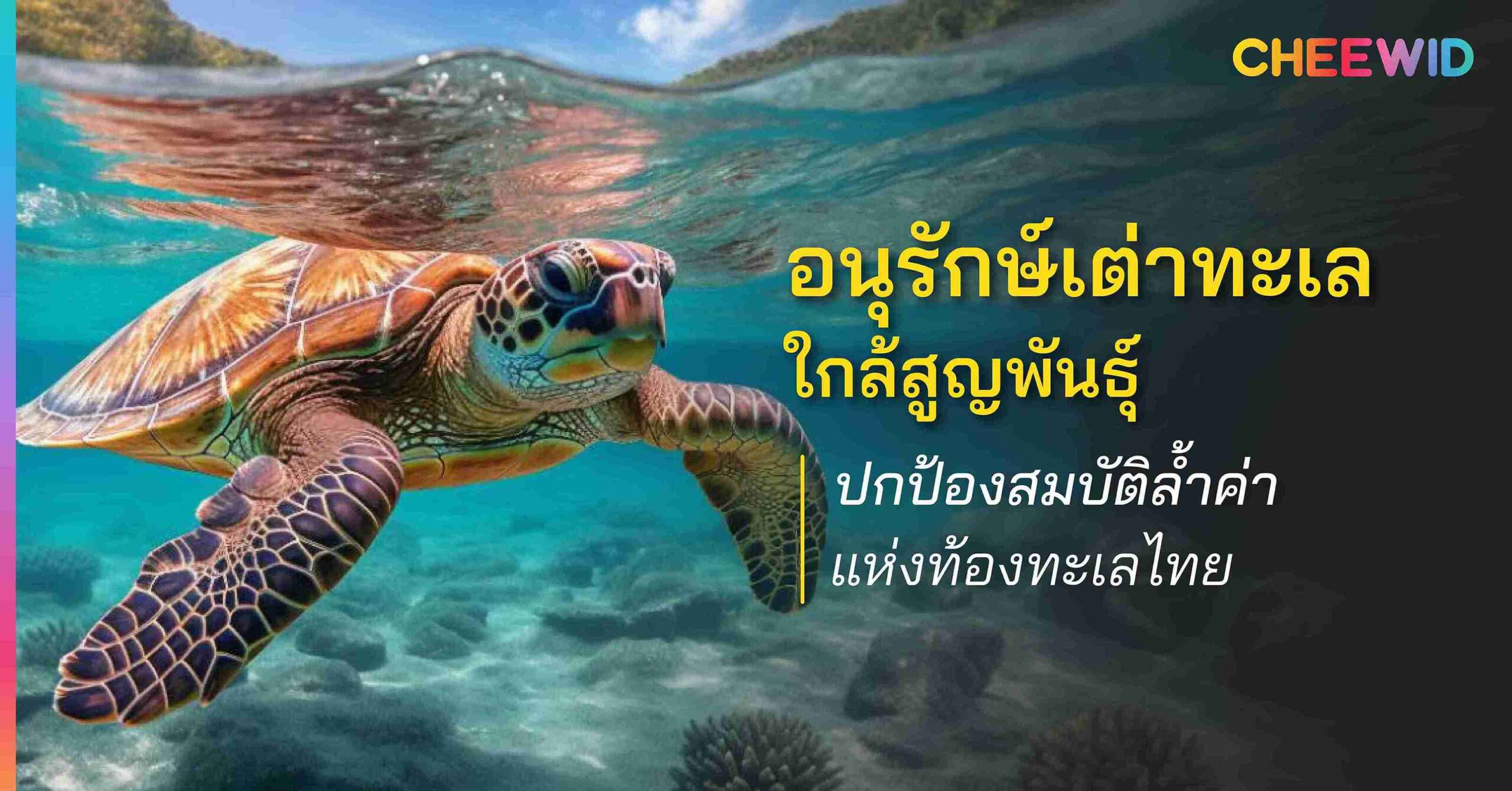 อนุรักษ์เต่าทะเลใกล้สูญพันธุ์ ปกป้องสมบัติล้ำค่าแห่งท้องทะเลไทย