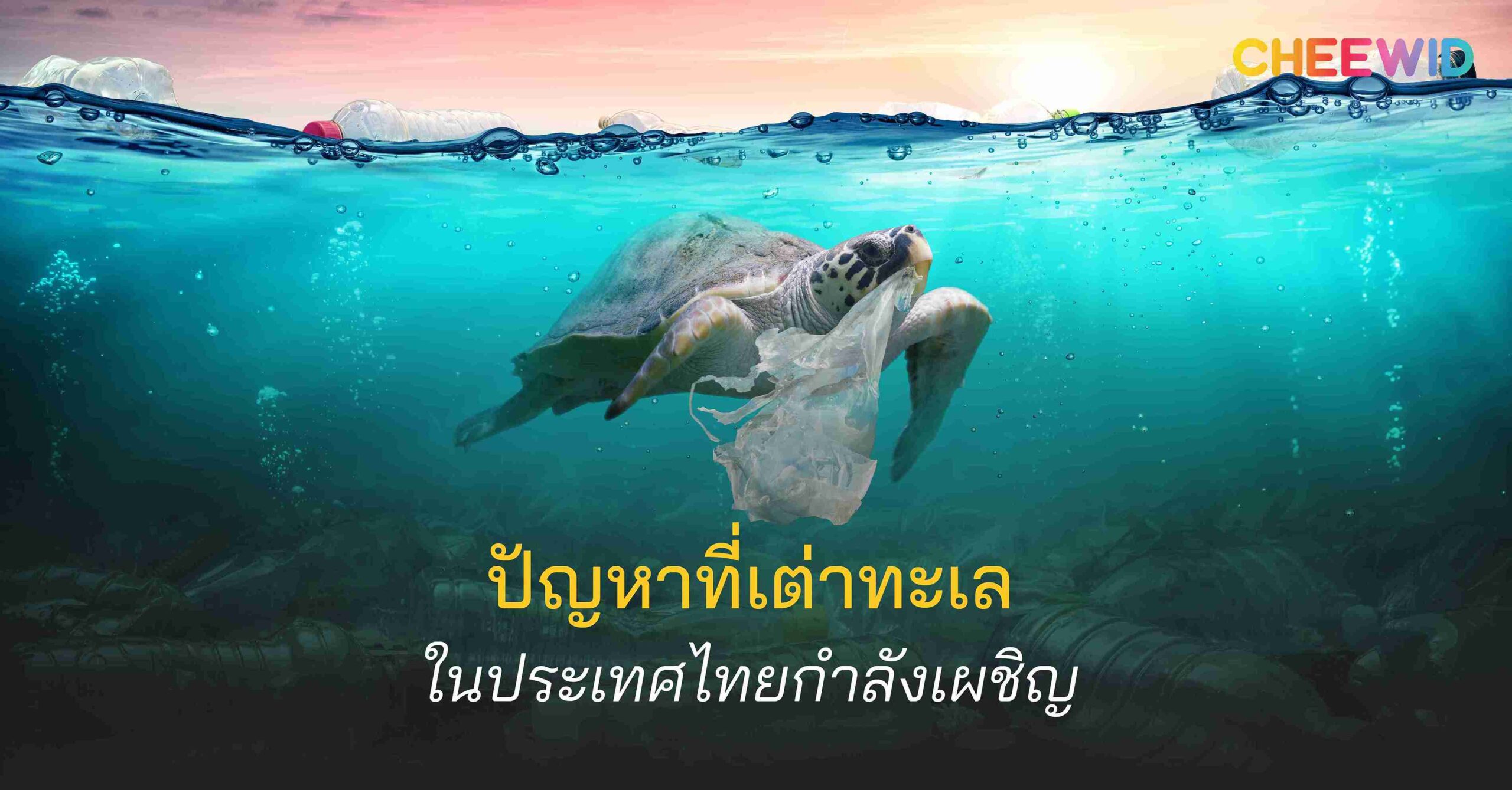 ปัญหาที่เต่าทะเลในประเทศไทยกำลังเผชิญ