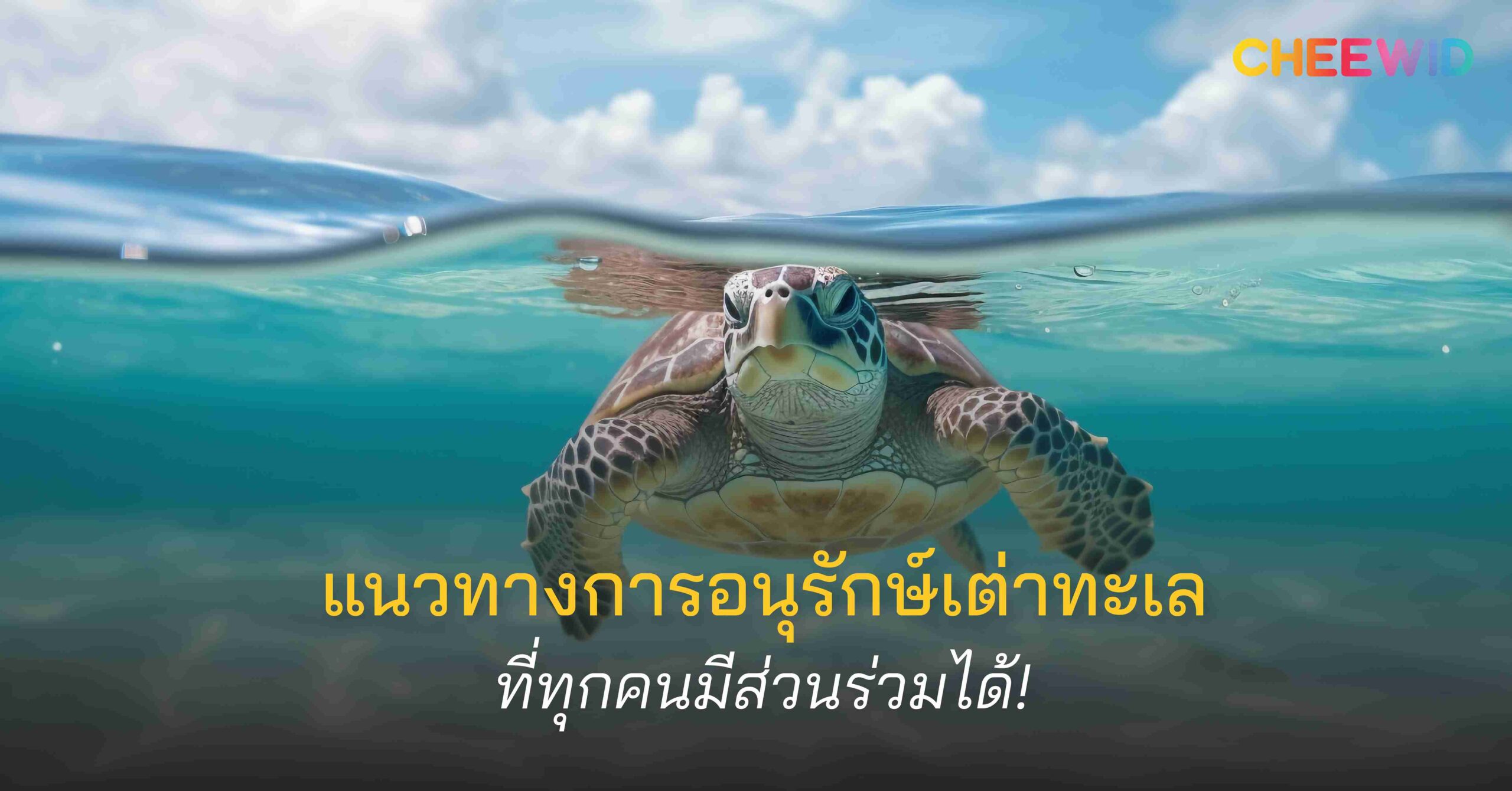 แนวทางการอนุรักษ์เต่าทะเล ที่ทุกคนมีส่วนร่วมได้!