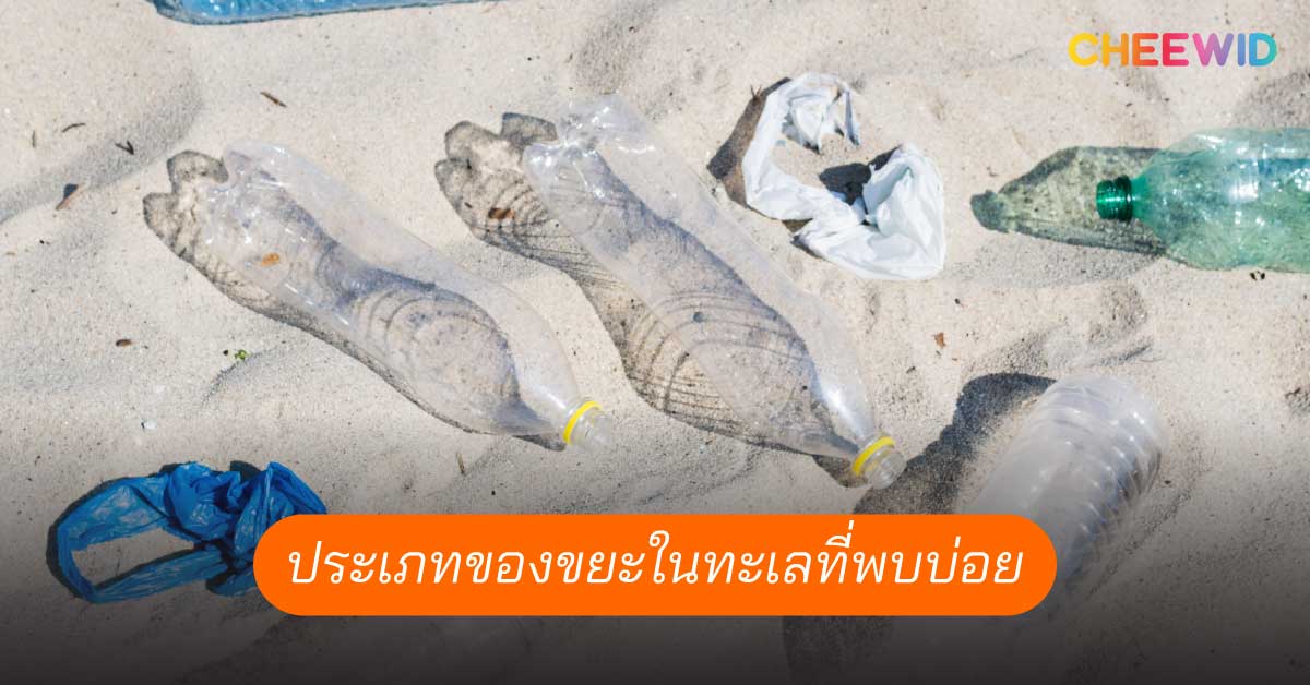 ประเภทของขยะในทะเลที่พบบ่อย