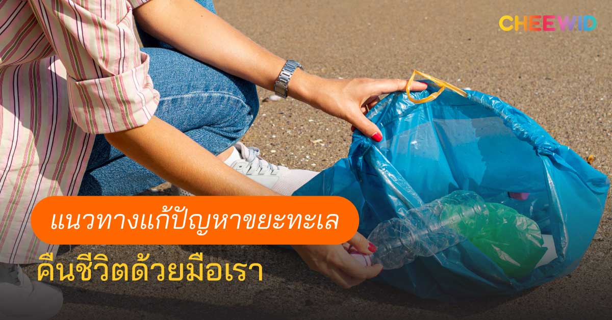 แนวทางแก้ปัญหาขยะทะเล คืนชีวิตด้วยมือเรา
