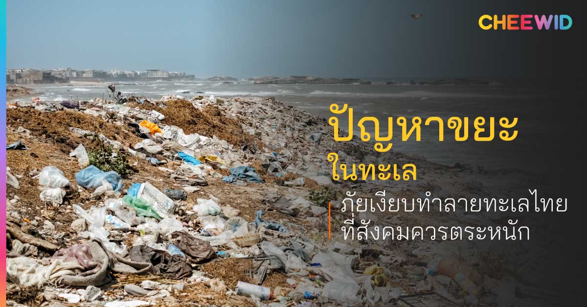 ปัญหาขยะในทะเล ภัยเงียบทำลายทะเลไทยที่สังคมควรตระหนัก