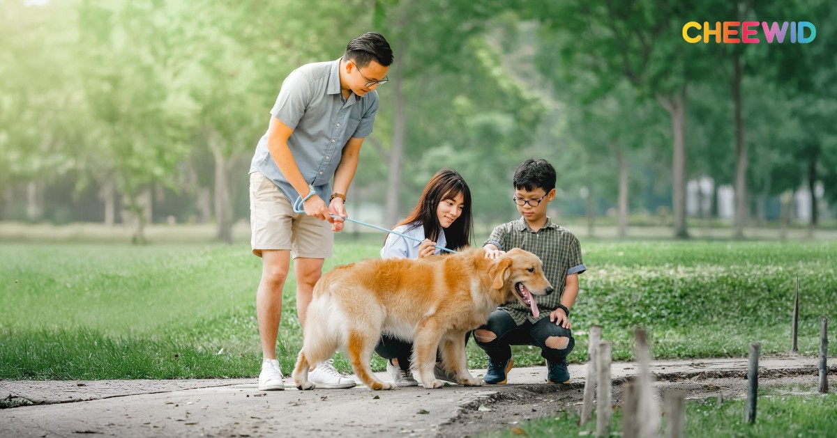 3. สวนเบญจกิติ (โซน Dog Park) เขตคลองเตย
