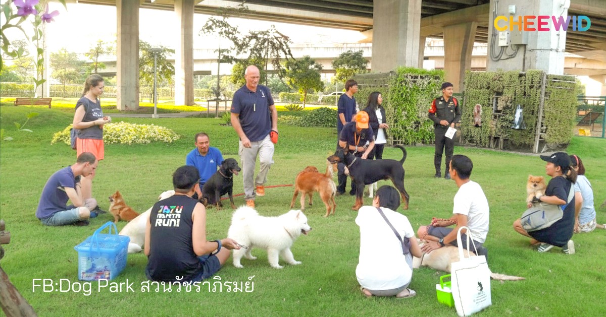 4. สวนวัชราภิรมย์ รามอินทรา (Dog Park) เขตบางเขน