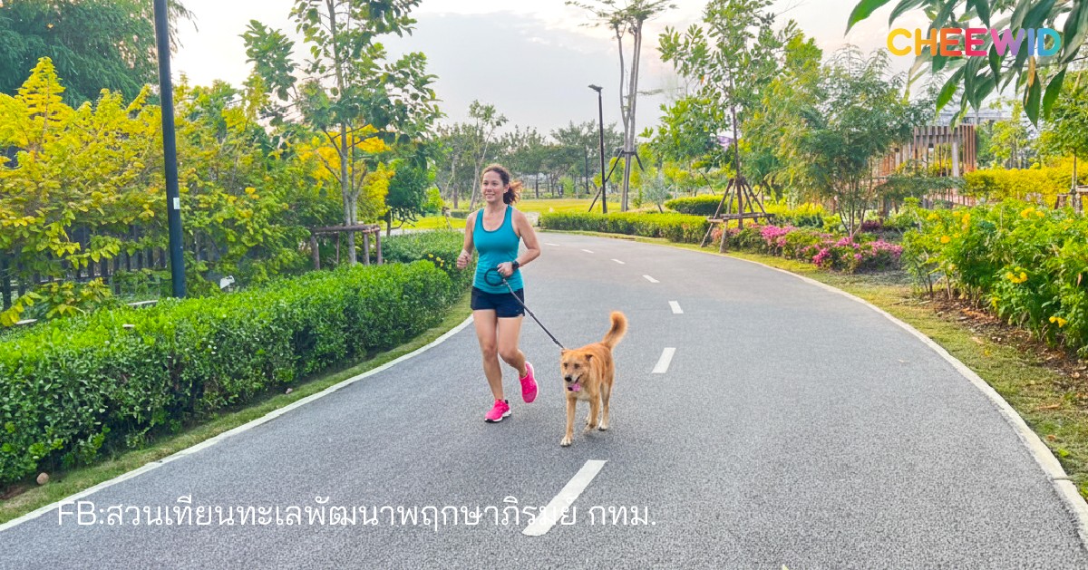 5. สวนเทียนทะเลพัฒนาพฤกษาภิรมย์ เขตบางขุนเทียน