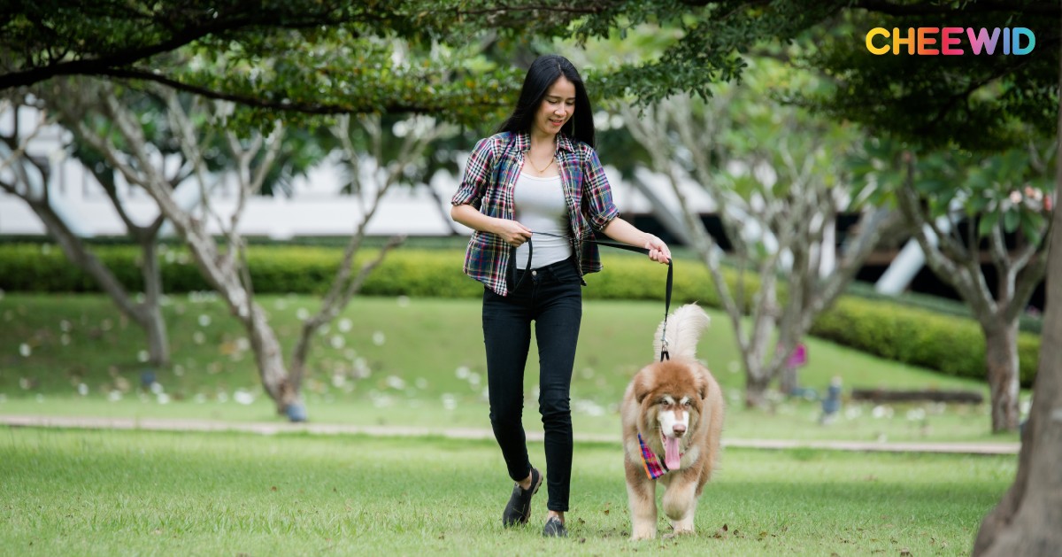  7. สวนสาธารณะทางต่างระดับพรานนก พุทธมณฑล สาย 4 เขตทวีวัฒนา