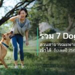 รวม 7 Dog Park สวนสาธารณะพาสัตว์เลี้ยงเข้าได้ อัปเดตปี 2568