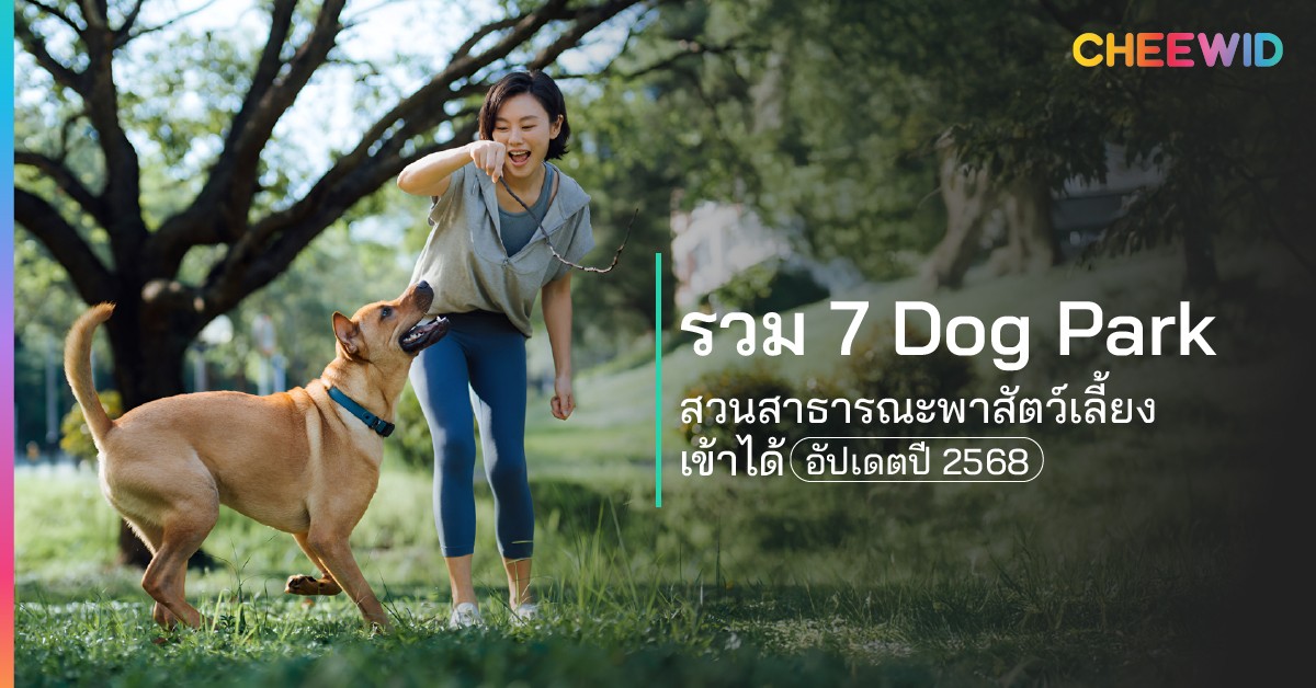 รวม 7 Dog Park สวนสาธารณะพาสัตว์เลี้ยงเข้าได้ อัปเดตปี 2568