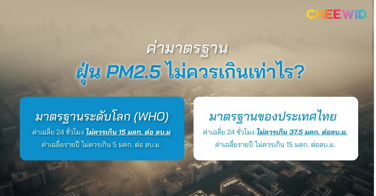 ค่ามาตรฐานฝุ่น PM2.5 ไม่ควรเกินเท่าไร?